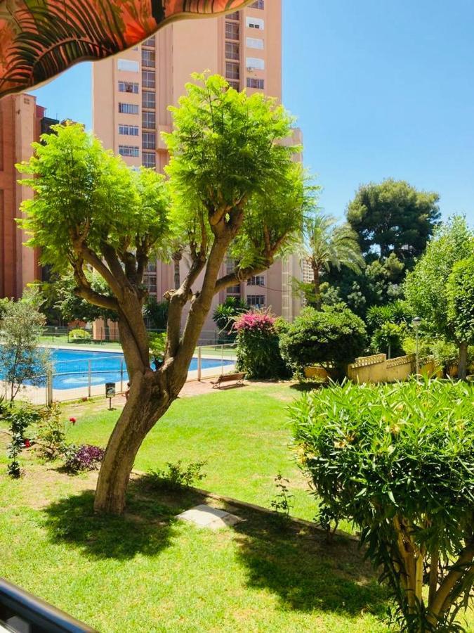 Duplex mensual para vacaciones. Benidorm Bagian luar foto